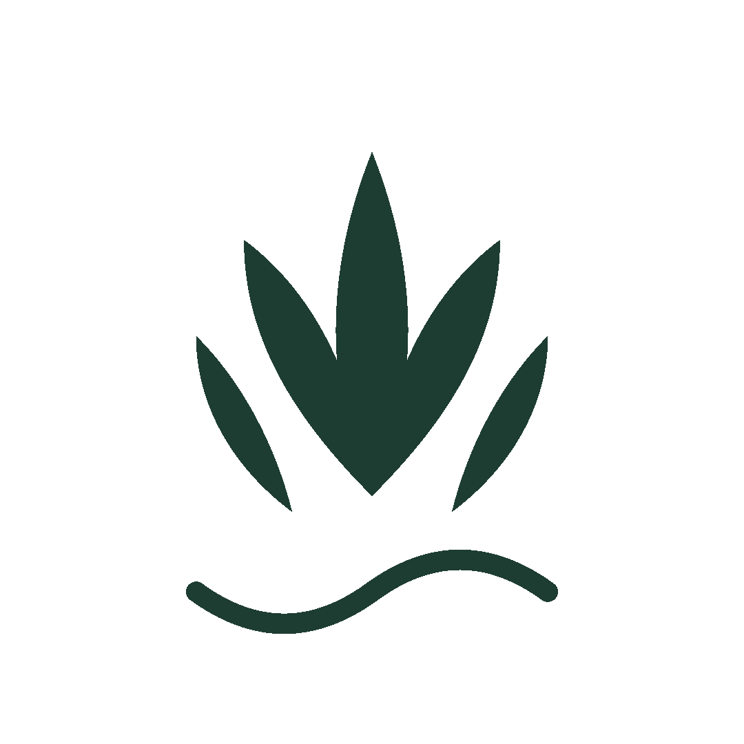 沁苓云